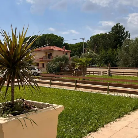 Apartment Valerie Nikiti (Sithonia)